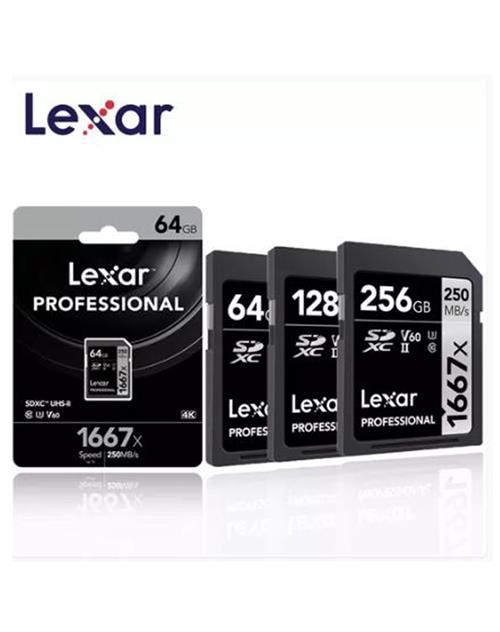 Lexar Prof 64 GB 1667 X